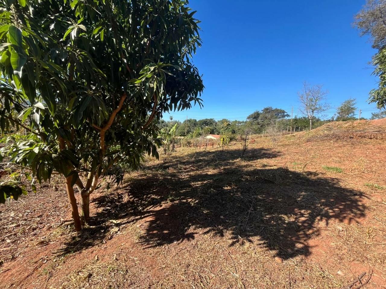 Terreno à venda, 1600 m² - Santo Afonso - Betim/MG — foto 15
