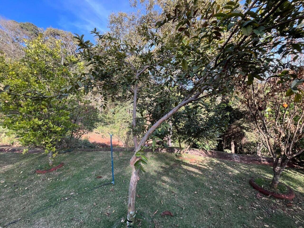 Chácara com 3 dormitórios à venda, 5000 m² - Santa Terezinha de Minas - Itatiaiuçu/MG — foto 4
