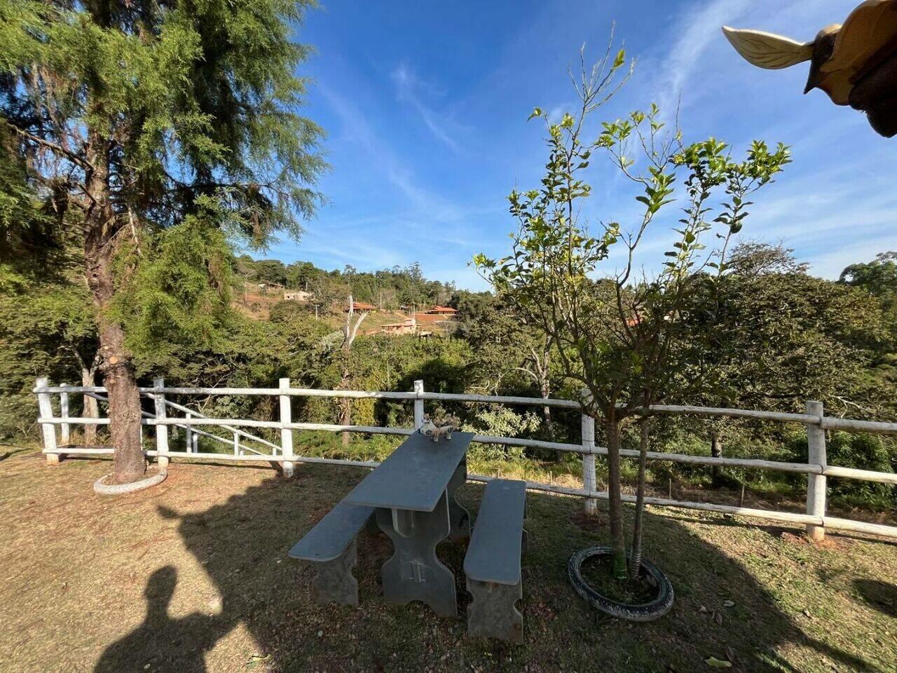 Chácara com 3 dormitórios à venda, 5000 m² - Santa Terezinha de Minas - Itatiaiuçu/MG — foto 2