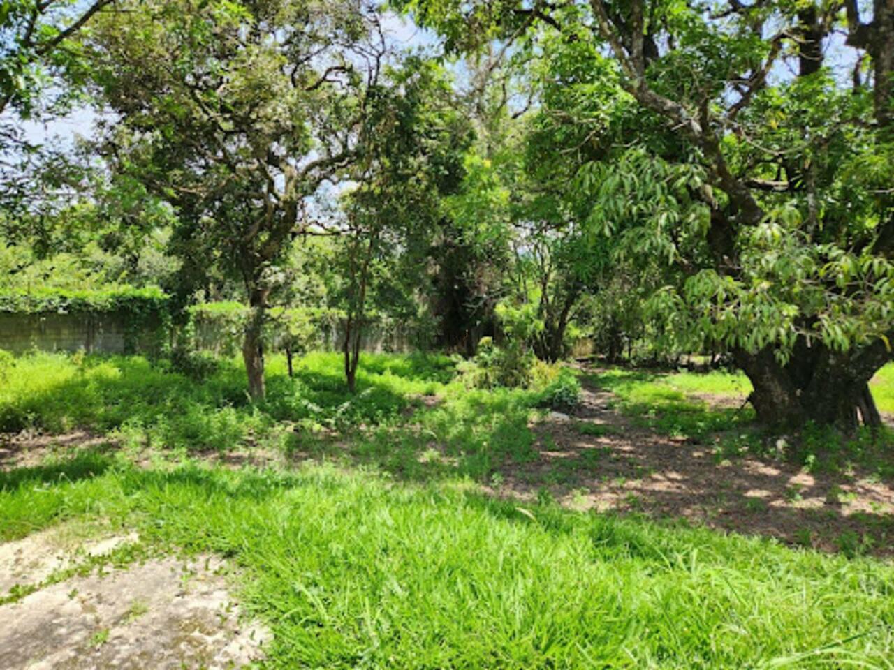Área à venda, 4000 m² - Bandeirinhas - Betim/MG — foto 17