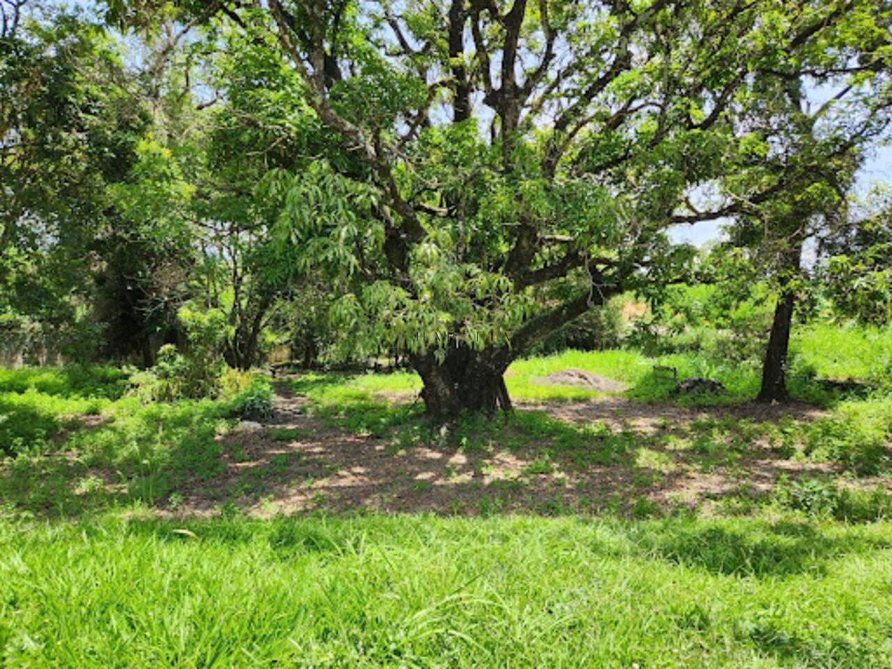 Área à venda, 4000 m² - Bandeirinhas - Betim/MG — foto 19