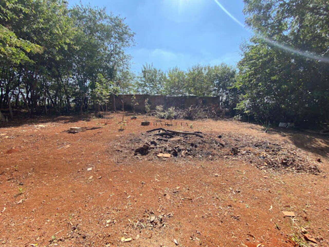 Chácara com 2 dormitórios à venda, 1000 m² - Recanto do Igarapé - Igarapé/MG — foto 12